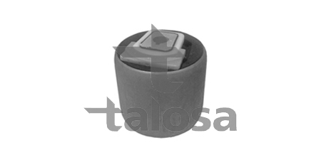 Control Arm-/Trailing Arm Bush TALOSA 57-08494