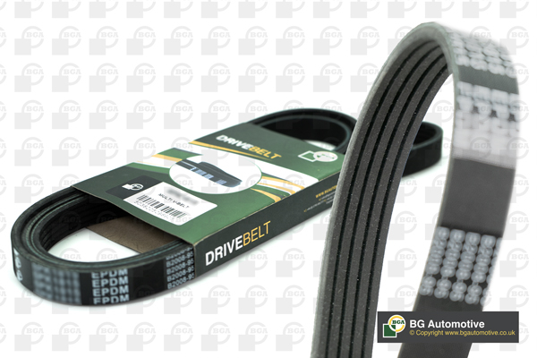 V-Ribbed Belt BGA 5PK1975