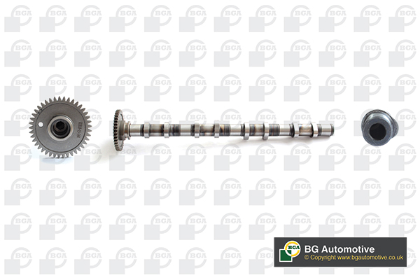 Camshaft BGA CS0905