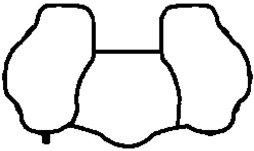 Gasket, intake manifold BGA MG8537