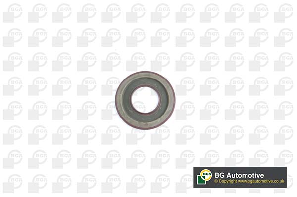 Shaft Seal, crankshaft BGA OS9120