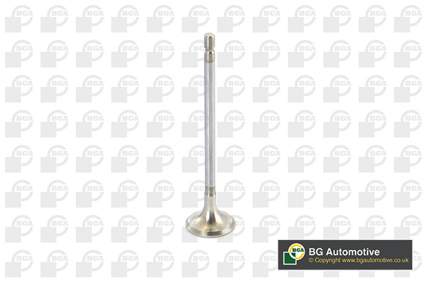 Exhaust Valve BGA V123003