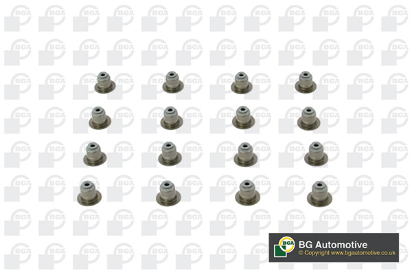 Seal Set, valve stem BGA VK1373