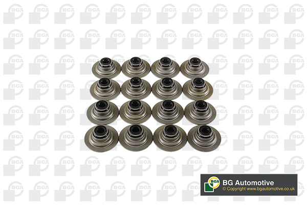 Seal Set, valve stem BGA VK5343