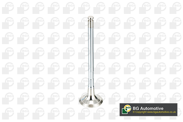 Exhaust Valve BGA V991774