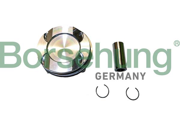 Piston Ring Kit Borsehung B11146