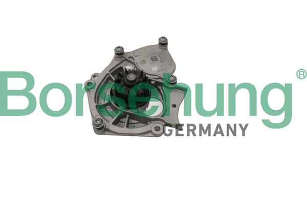 Water Pump Borsehung B15313