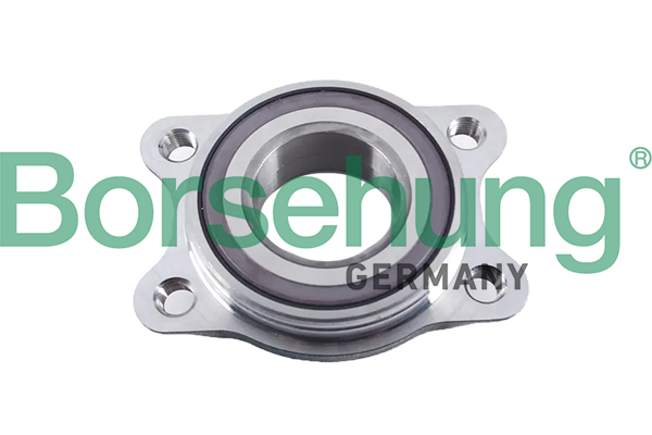 Wheel Bearing Kit Borsehung B19058