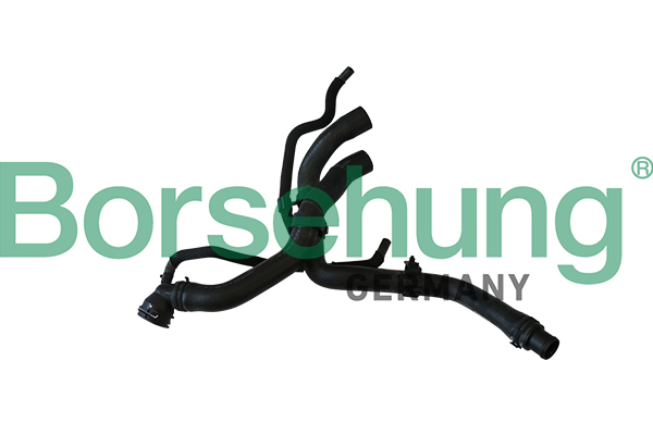 Radiator Hose Borsehung B11977