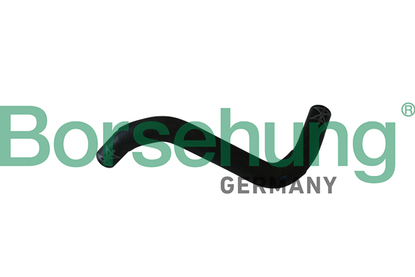 Radiator Hose Borsehung B11986