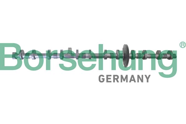 Camshaft Adjuster Borsehung B12296