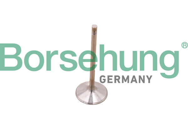 Exhaust Valve Borsehung B10348