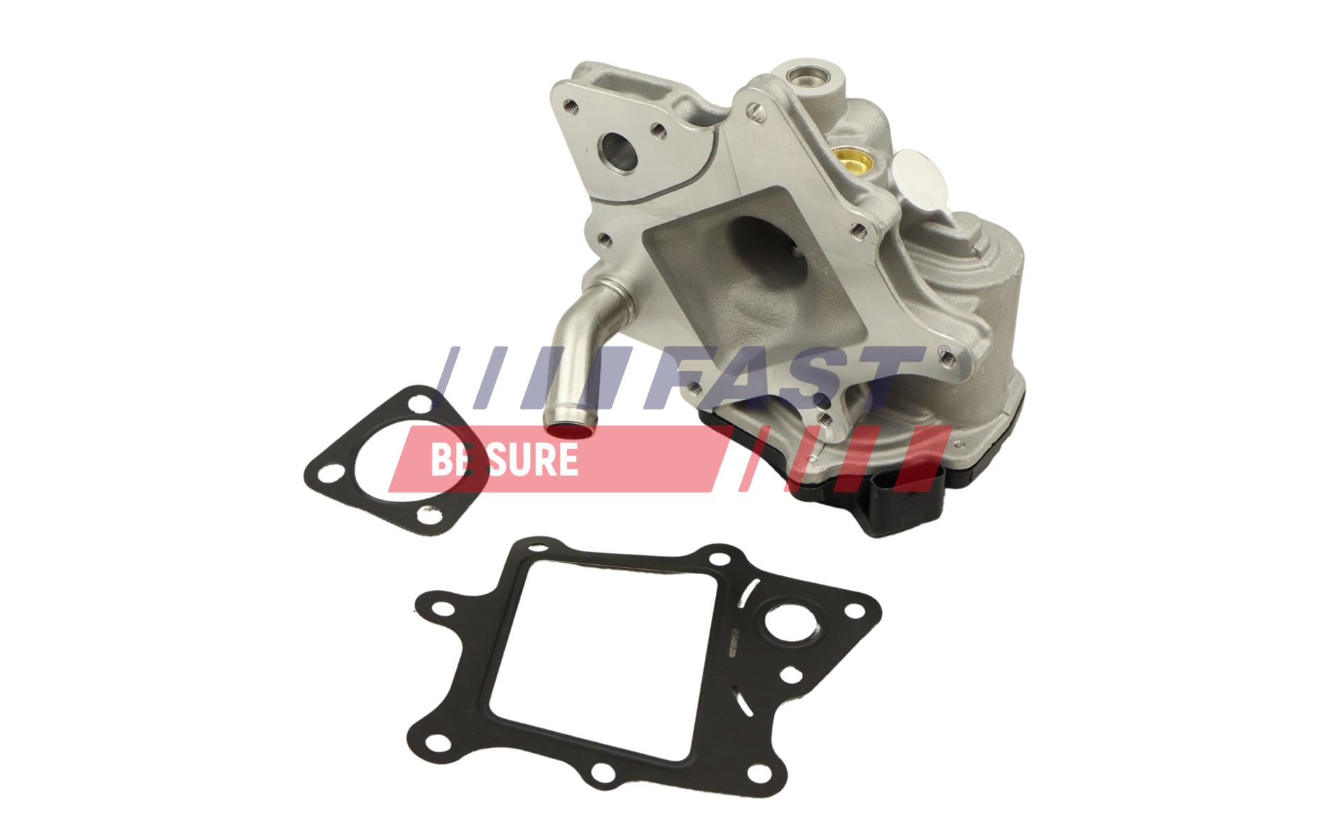 EGR Valve FAST FT60231