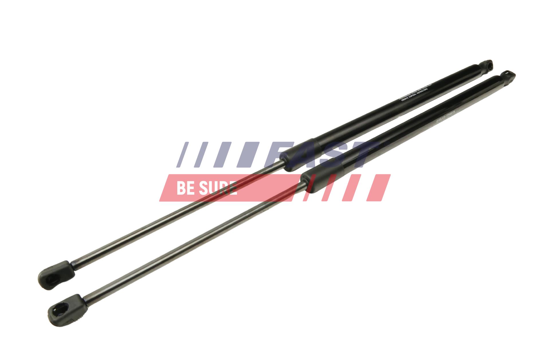 Gas Spring, boot/cargo area FAST FT94812K