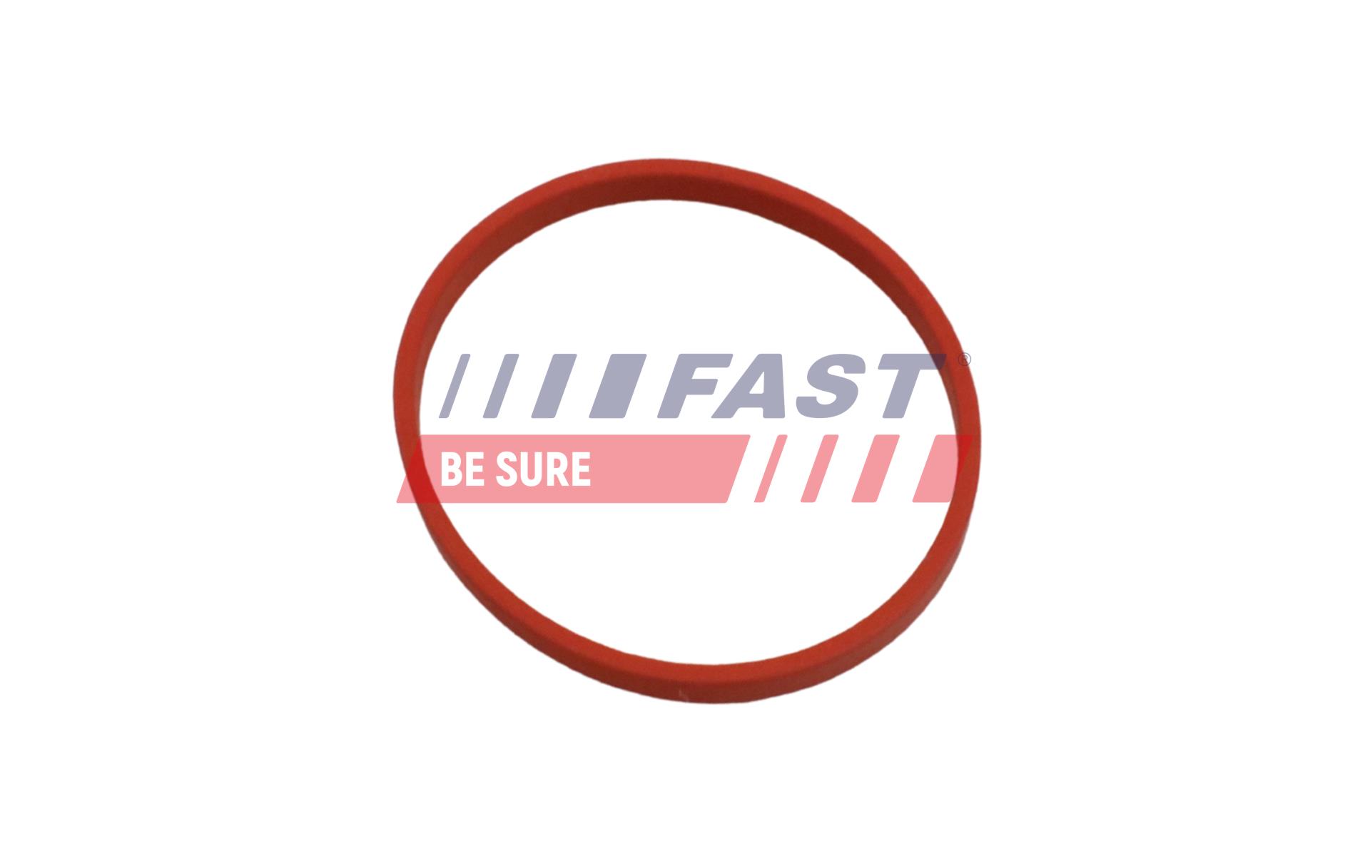 Gasket, EGR valve pipe FAST FT49868