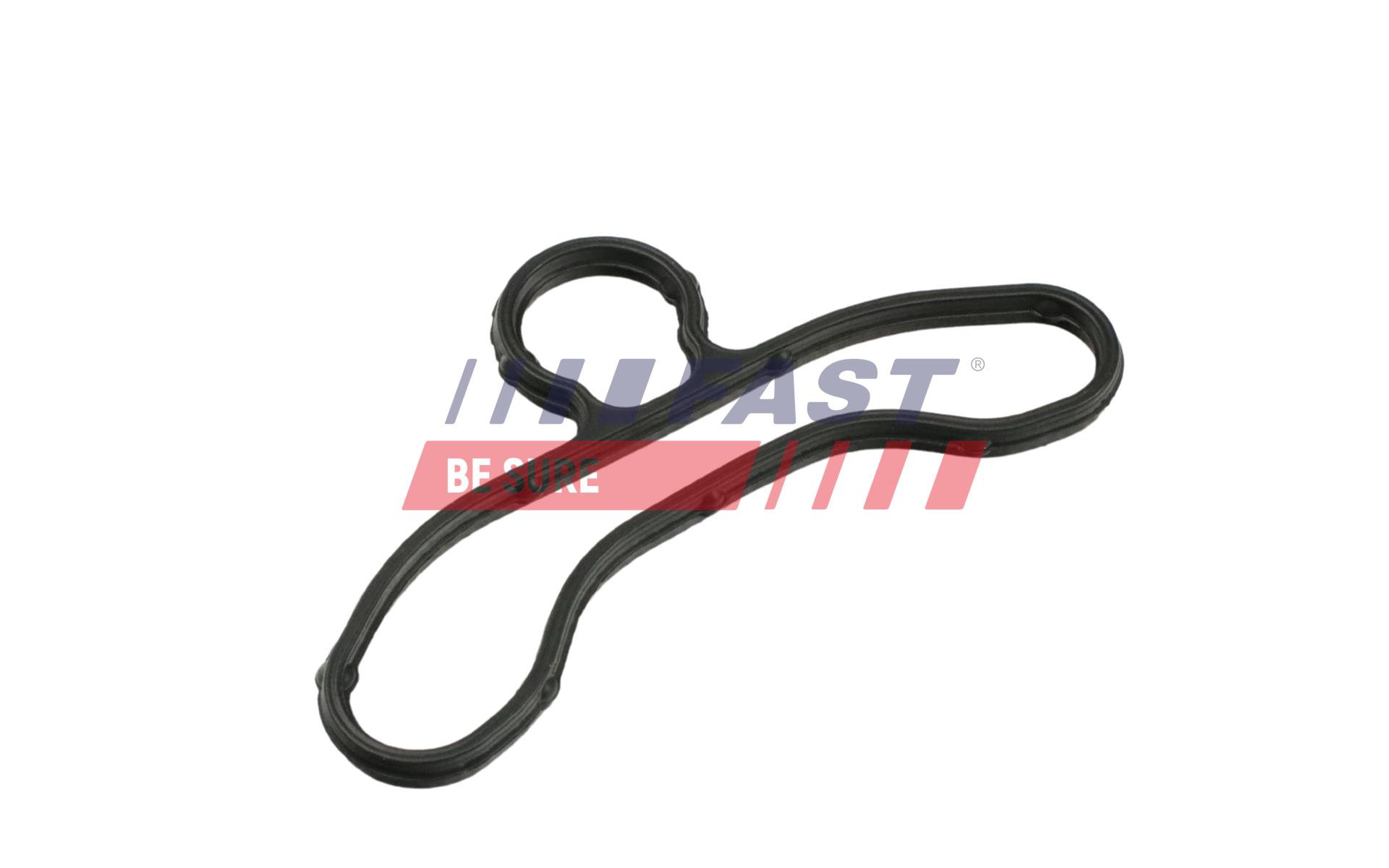 Gasket, timing case FAST FT41604