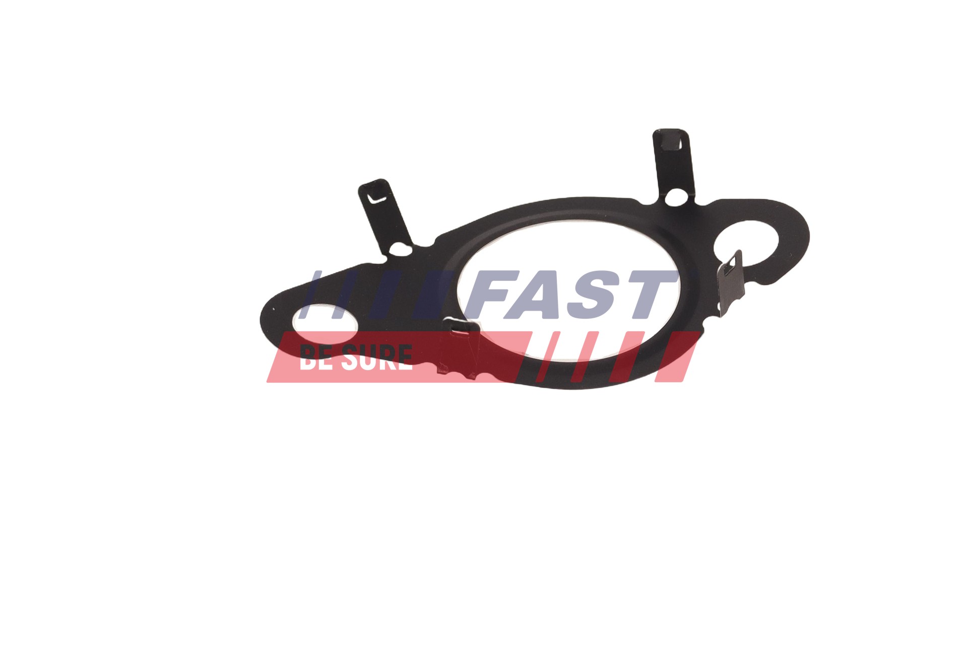Gasket, EGR valve FAST FT13438