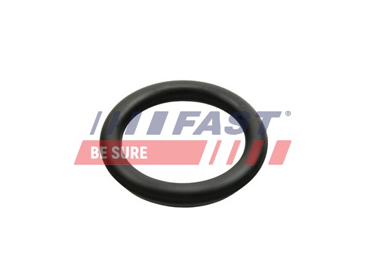 Gasket, intake manifold FAST FT49426