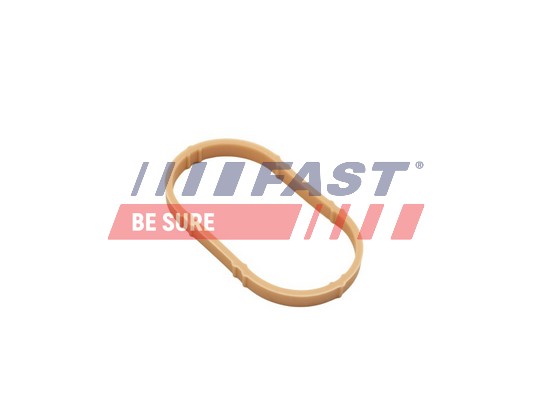 Gasket, intake manifold FAST FT49461