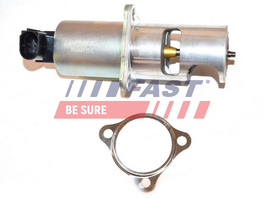 EGR Valve FAST FT60212