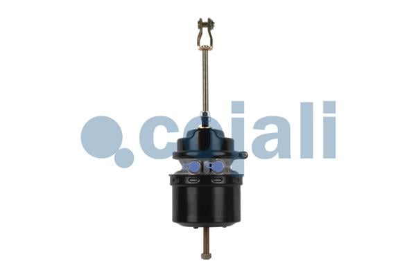Spring-loaded Cylinder COJALI 2251503