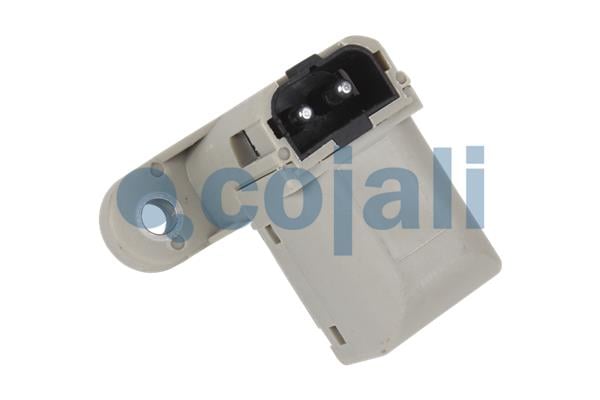 Door Lock, driver cab COJALI 2260345