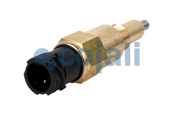 Sensor COJALI 2260382