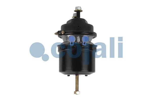 Spring-loaded Cylinder COJALI 2351305