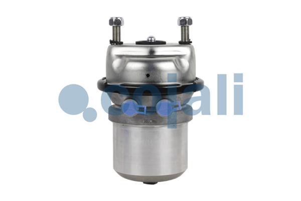 Spring-loaded Cylinder COJALI 2351314