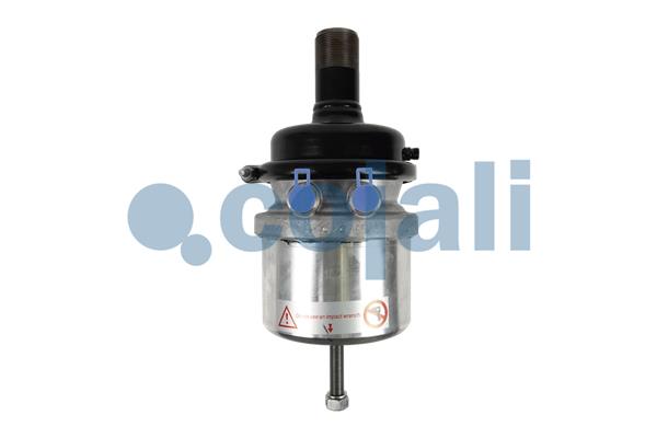 Spring-loaded Cylinder COJALI 2351430