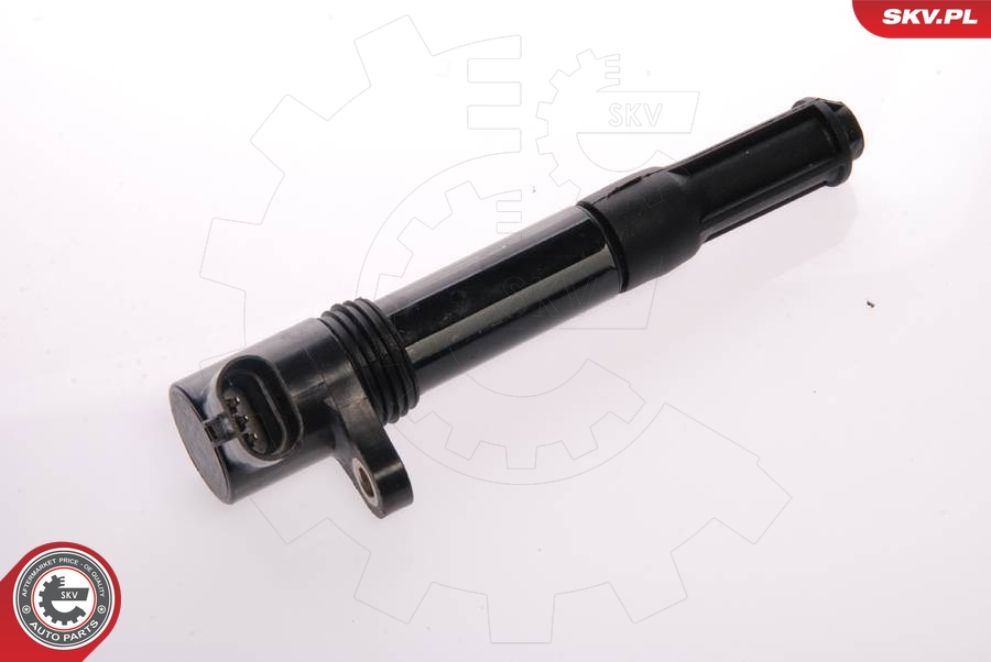Ignition Coil ESEN SKV 03SKV028