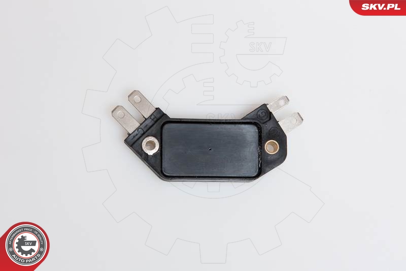 Switch Unit, ignition system ESEN SKV 03SKV905