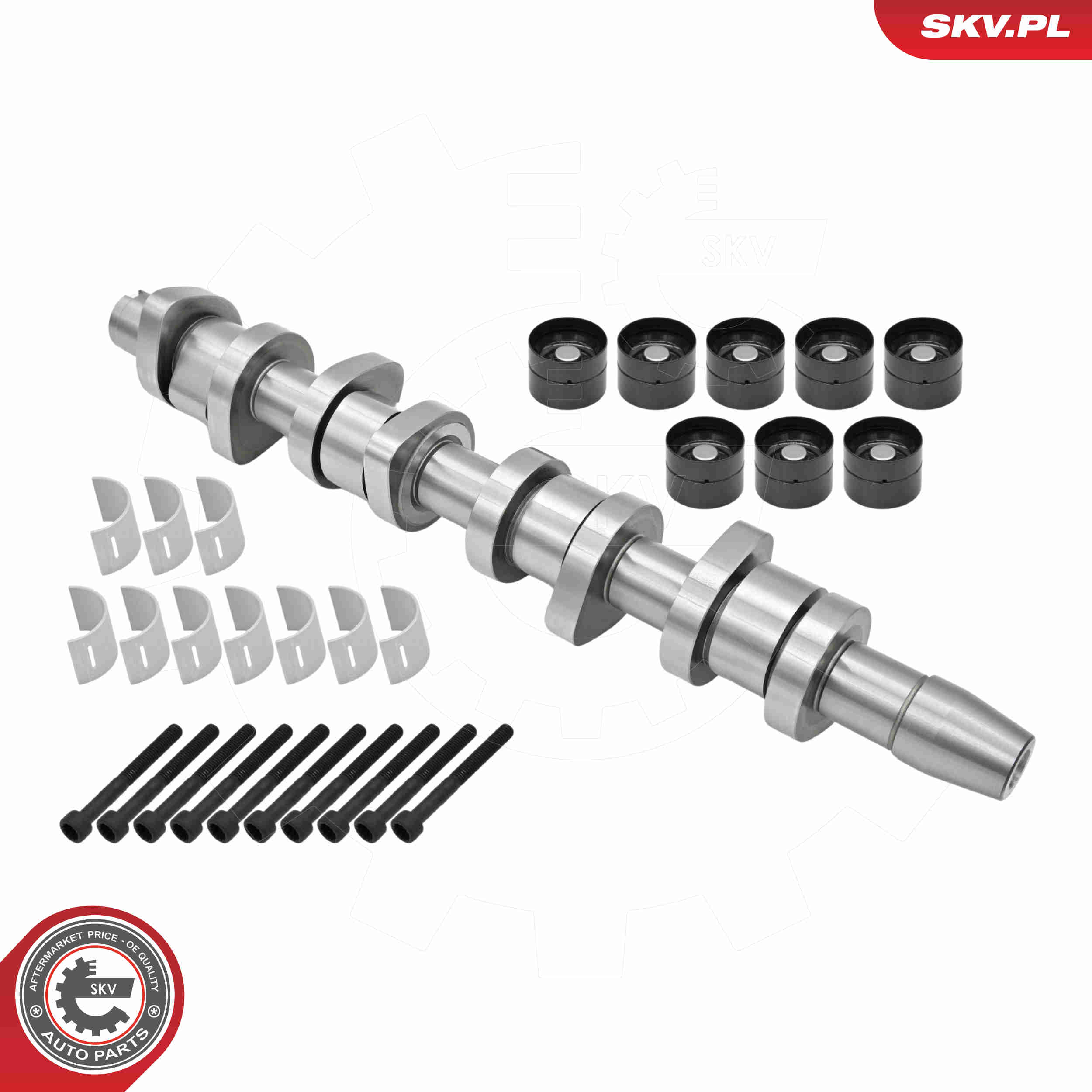 Kit de árbol de levas ESEN SKV 80SKV306