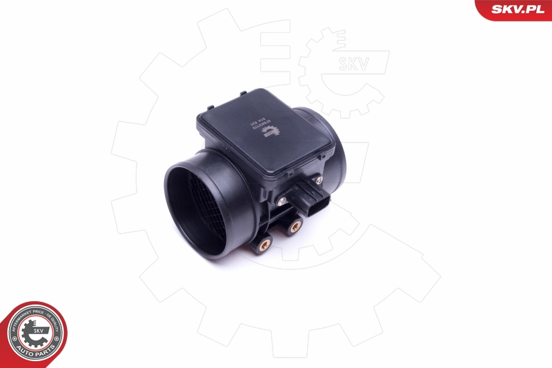 Caudalímetro ESEN SKV 07SKV179