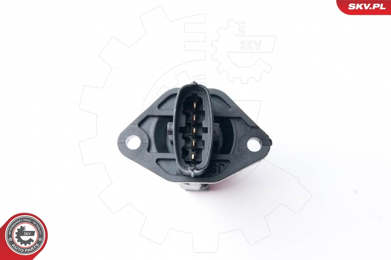 Caudalímetro ESEN SKV 07SKV514