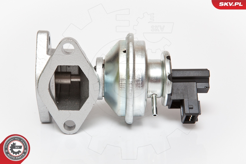 EGR Valve ESEN SKV 14SKV050