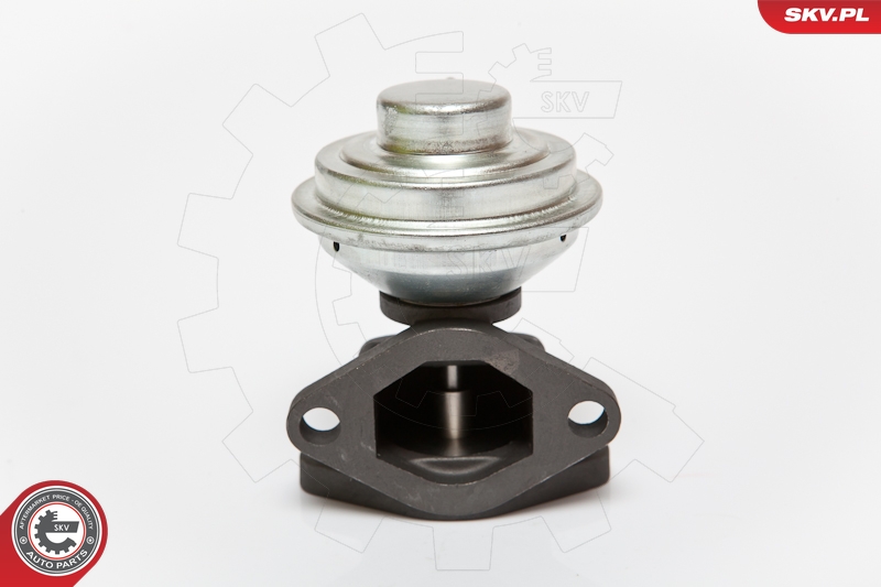 EGR Valve ESEN SKV 14SKV052