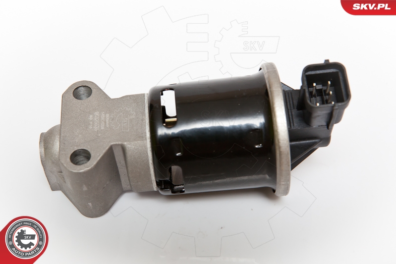EGR Valve ESEN SKV 14SKV059
