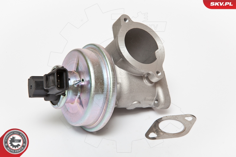 EGR Valve ESEN SKV 14SKV061