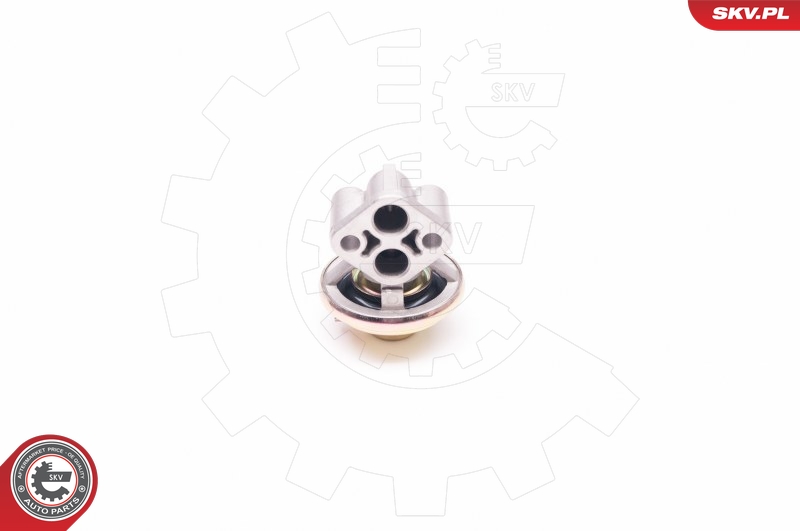 EGR Valve ESEN SKV 14SKV130