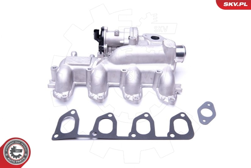 EGR Valve ESEN SKV 14SKV155