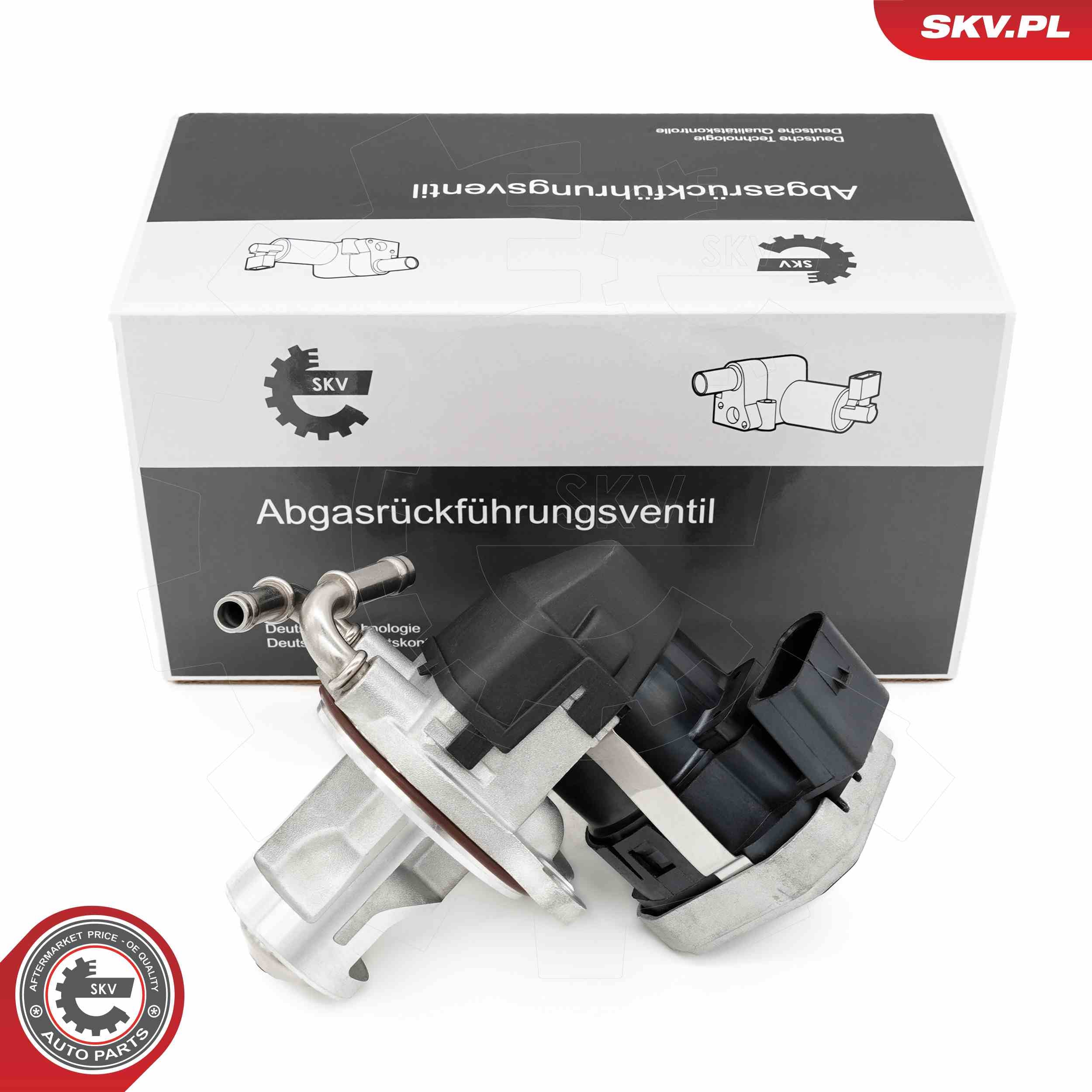 EGR Valve ESEN SKV 14SKV255
