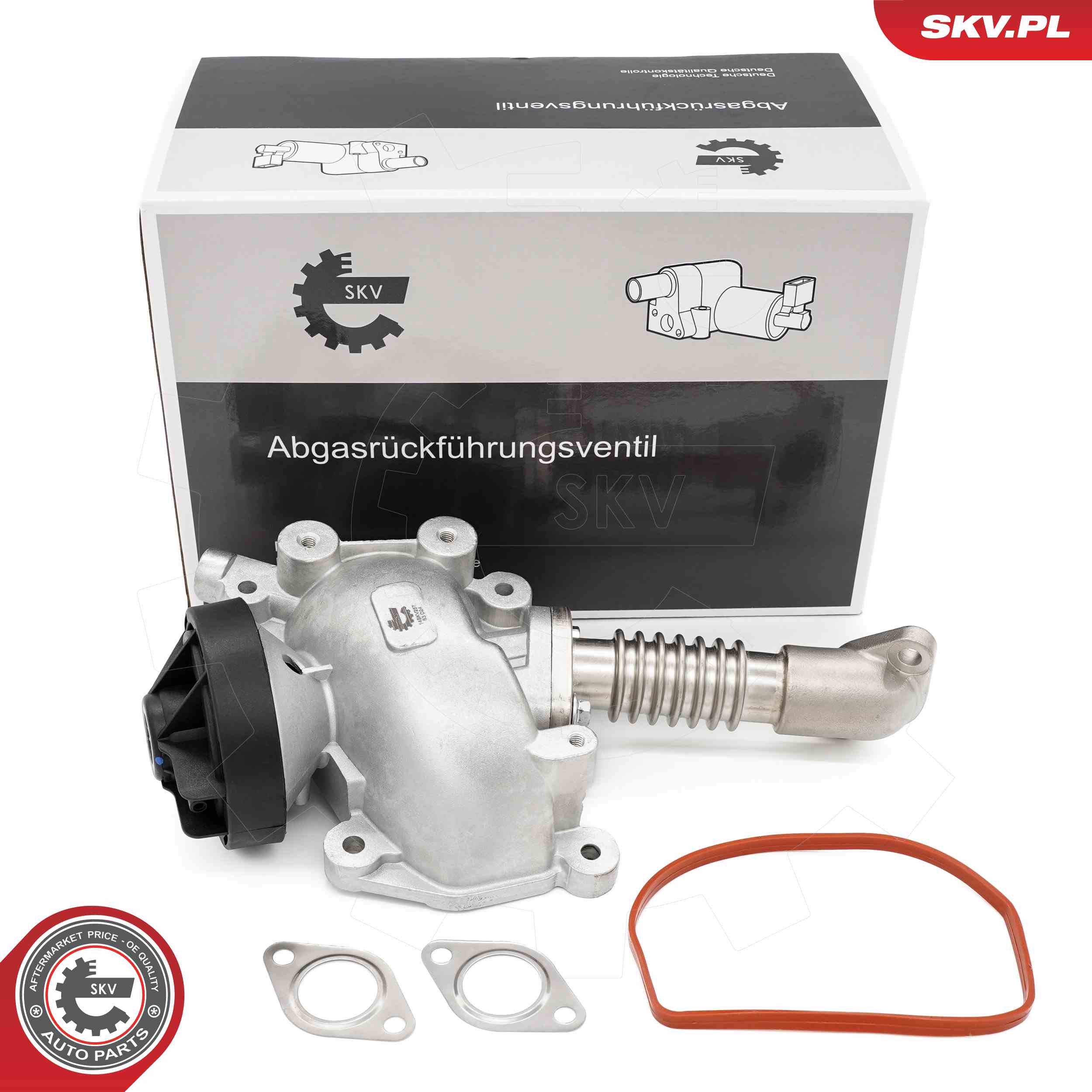 EGR Valve ESEN SKV 14SKV257
