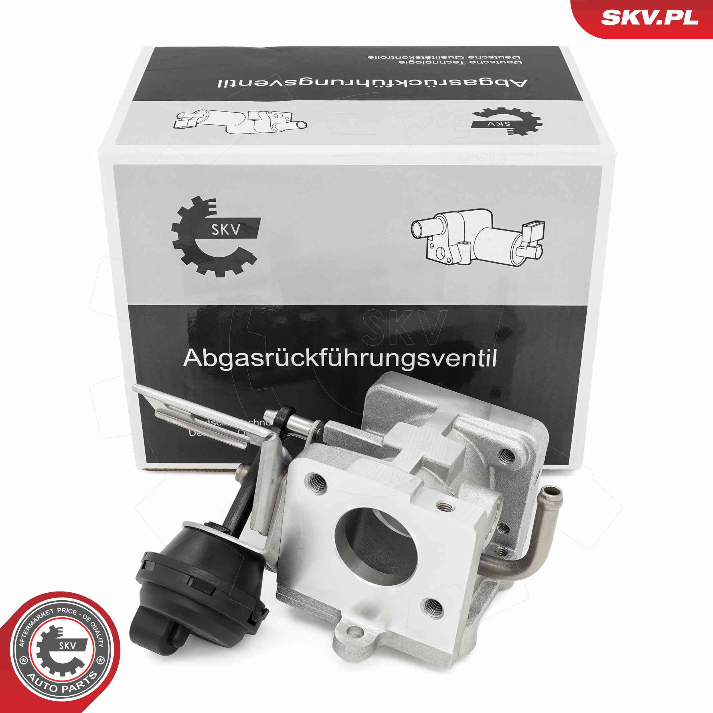 EGR Valve ESEN SKV 14SKV290