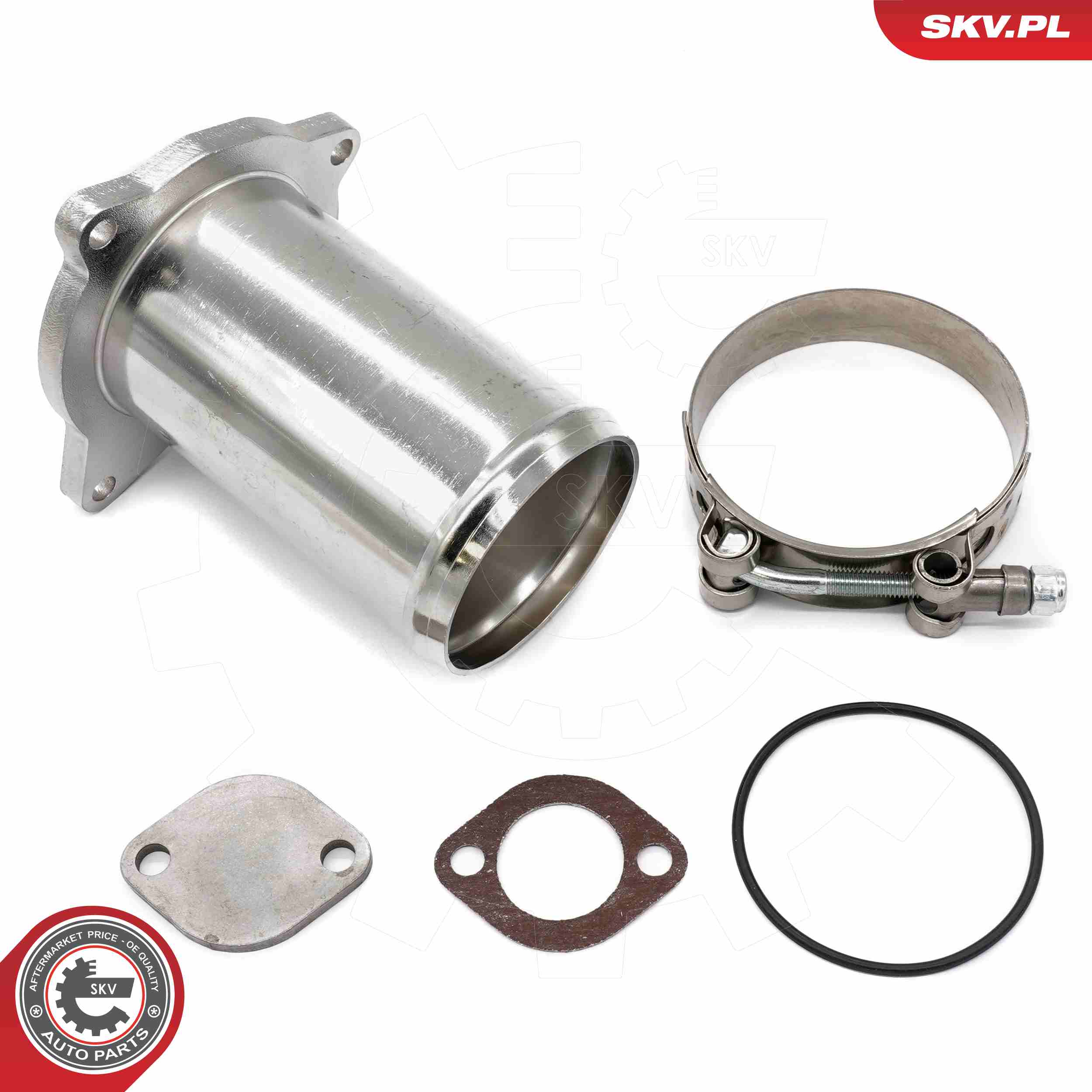 Kit de reparación, válvula EGR ESEN SKV 14SKV581