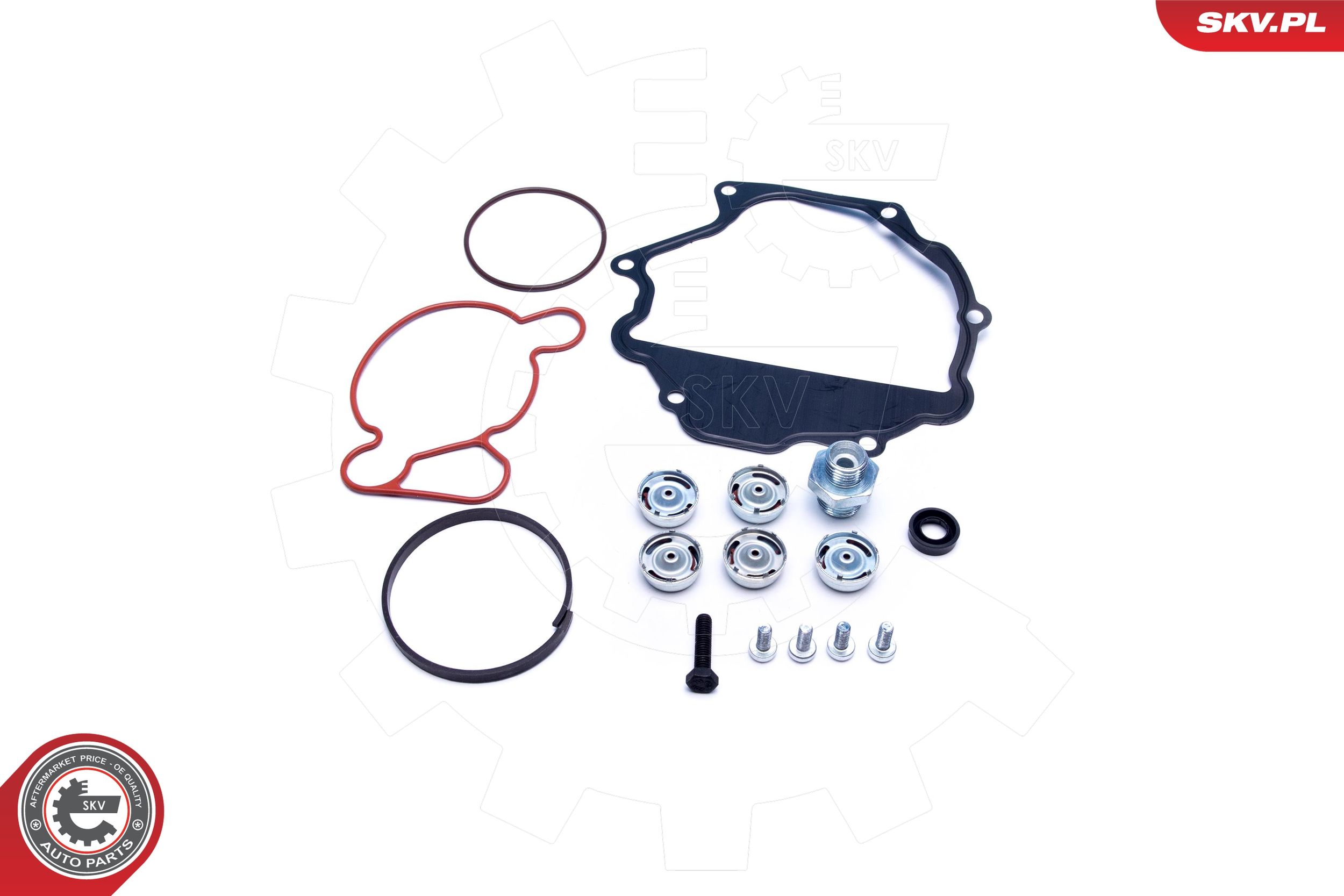 kit reparación, bomba vacío (frenos) ESEN SKV 18SKV809