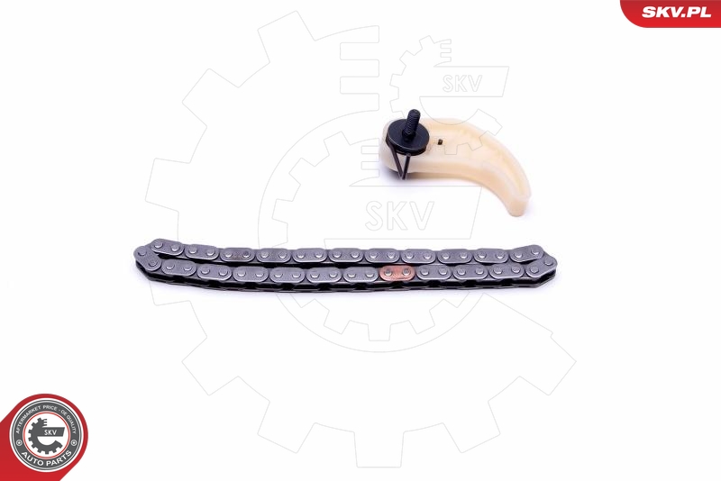 Kit cadenas, accionamiento bomba aceite ESEN SKV 21SKV106