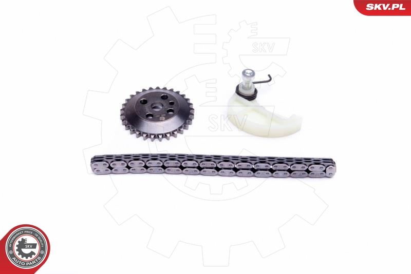 Kit cadenas, accionamiento bomba aceite ESEN SKV 21SKV109
