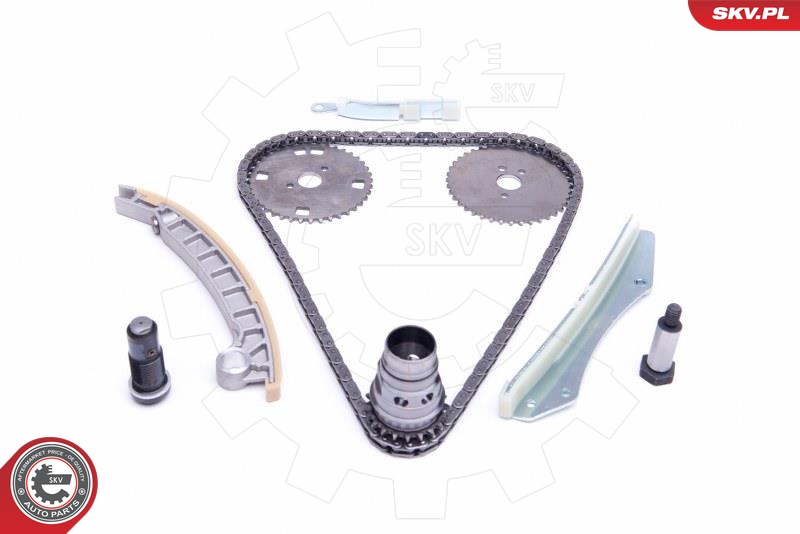 Kit de cadena de distribución ESEN SKV 21SKV141