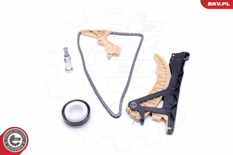 Kit de cadena de distribución ESEN SKV 21SKV158